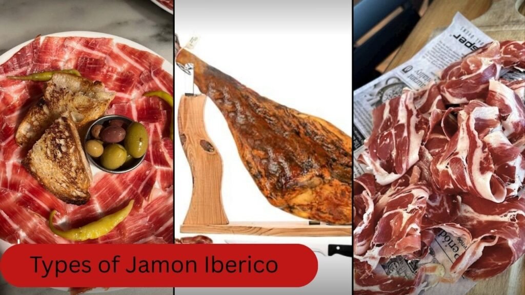 Jamón Ibérico: A Complete Guide to Spain’s Culinary Treasure
